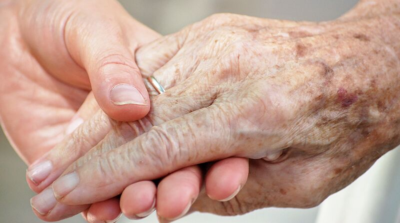 JAX Center for Aging Research