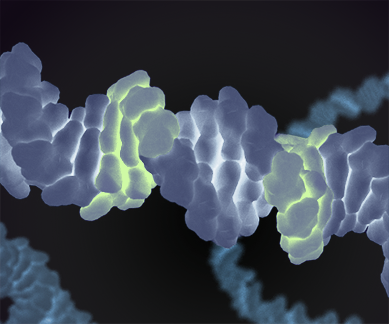 Genome Scanning