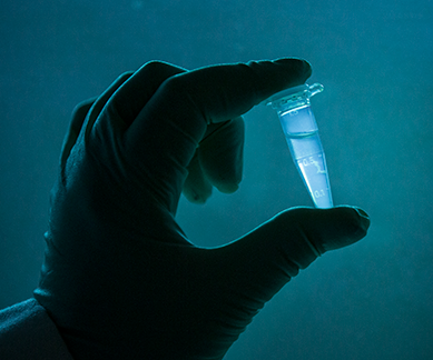 Cryopreservation