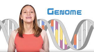 Genetics vs. Genomics