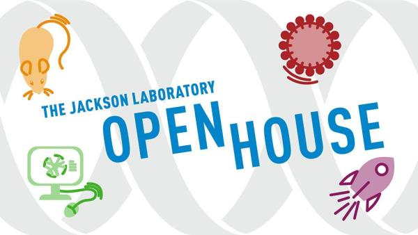Virtual Open Houses