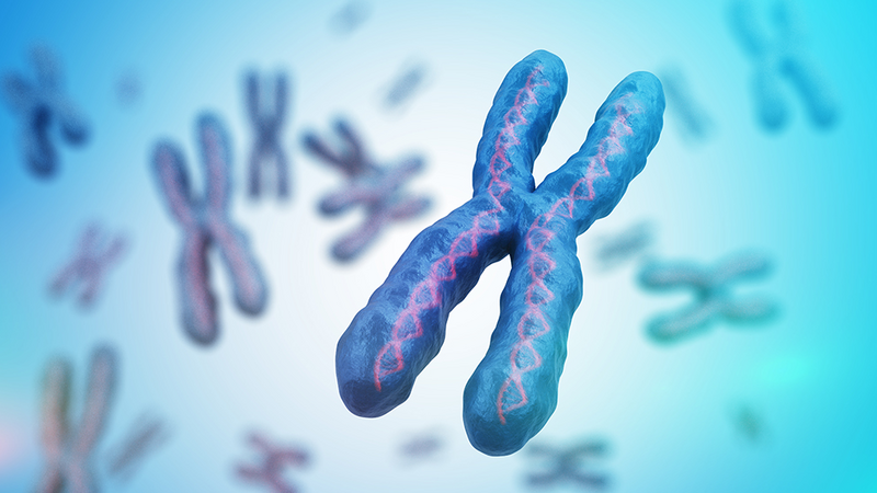Genome Technologies