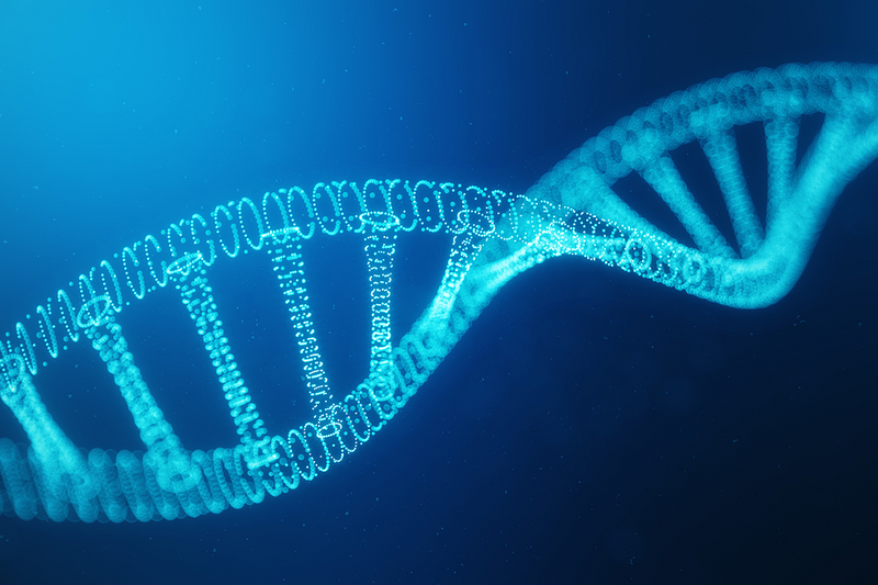 Roux Family Center for Genomics and Computational Biology