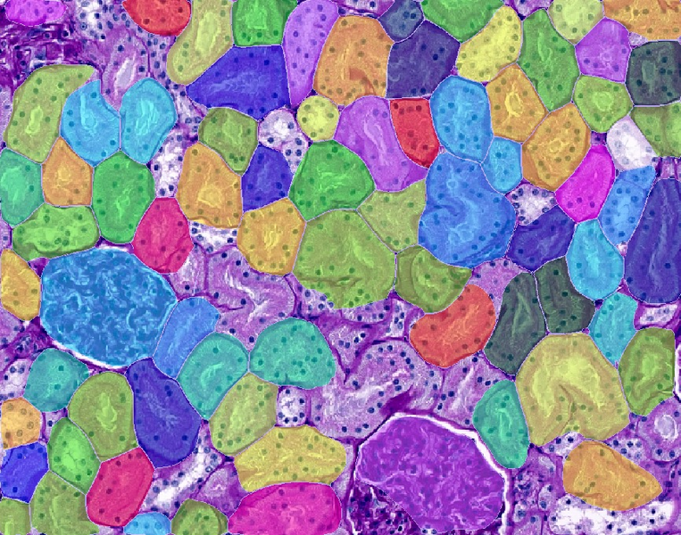 Image Analysis