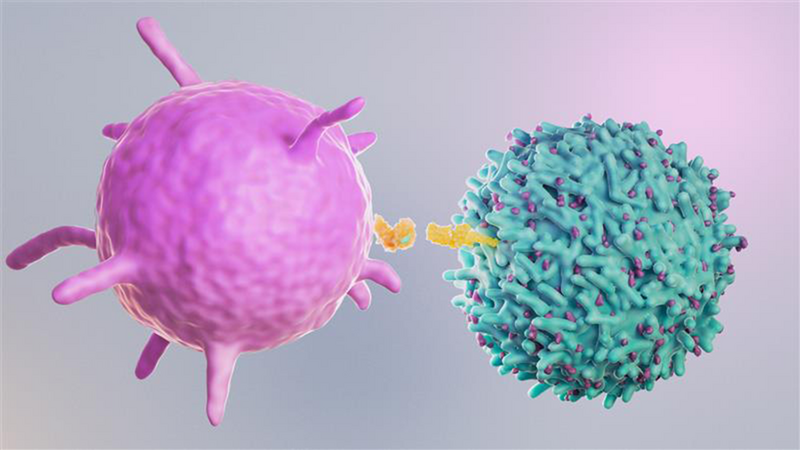 A new lens on cancer: Advanced imaging to study cancer-immune interactions