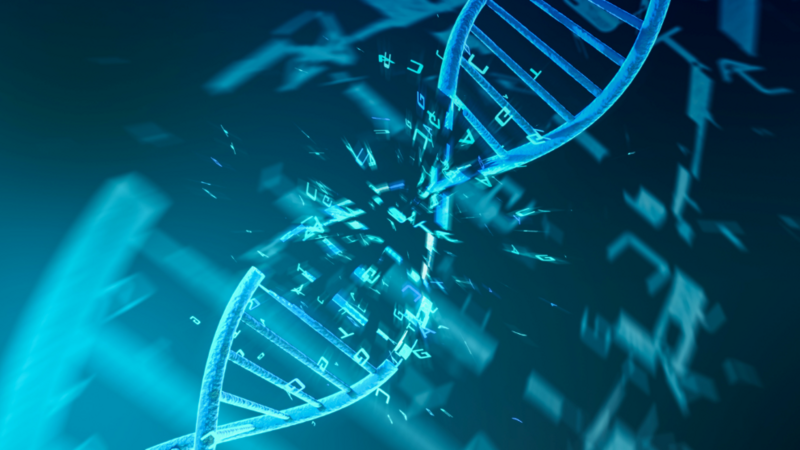Five lessons learned since sequencing the 1st human genome