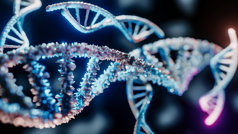 Transgenic Genotyping
