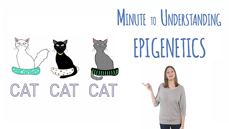 What is Epigenetics?